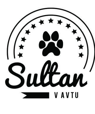 Nalepka Pes v avtu